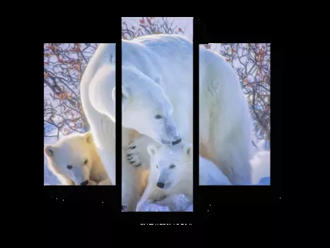 Модульная картина Picsis