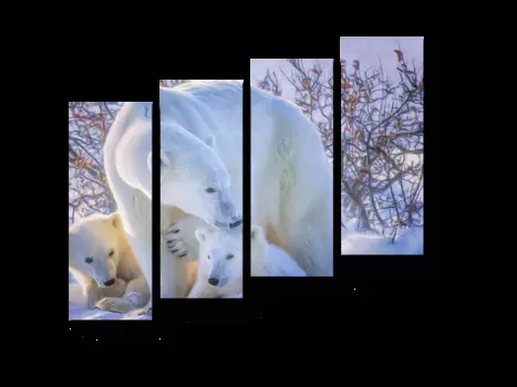 Модульная картина Picsis