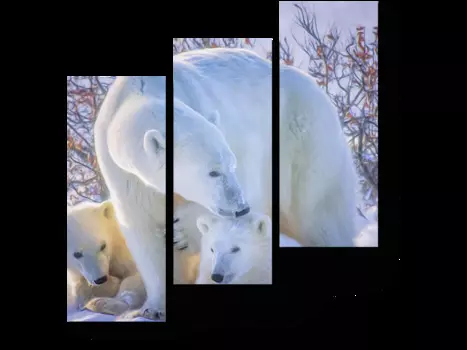 Модульная картина Picsis