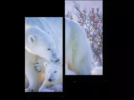 Модульная картина Picsis