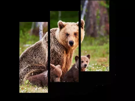 Модульная картина Picsis