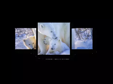 Модульная картина Picsis