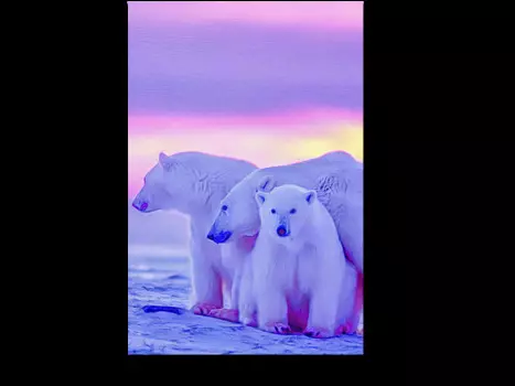 Модульная картина Picsis