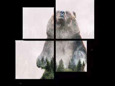 Модульная картина Picsis