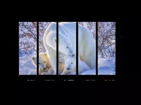 Модульная картина Picsis