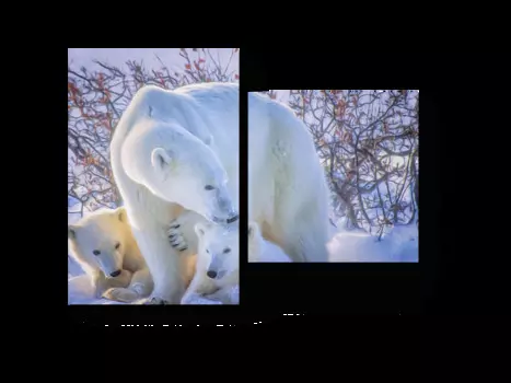 Модульная картина Picsis