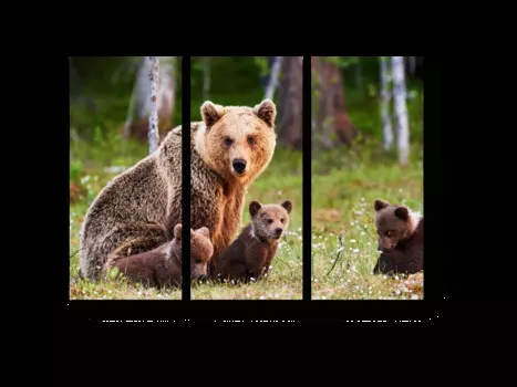 Модульная картина Picsis