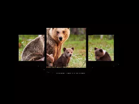 Модульная картина Picsis