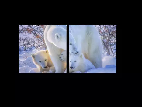 Модульная картина Picsis