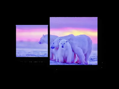 Модульная картина Picsis