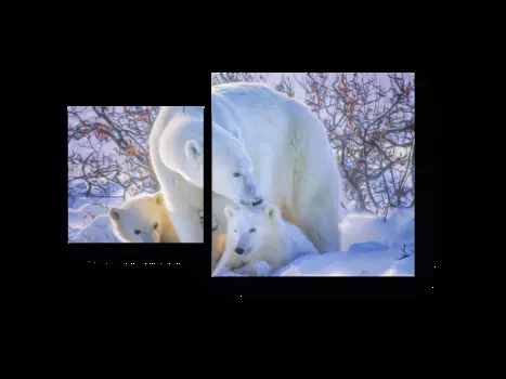 Модульная картина Picsis