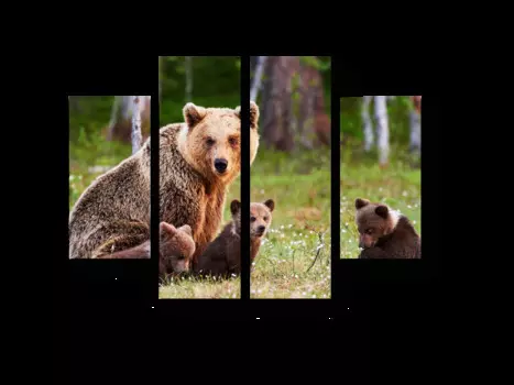 Модульная картина Picsis