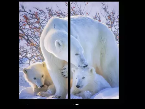 Модульная картина Picsis