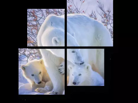 Модульная картина Picsis