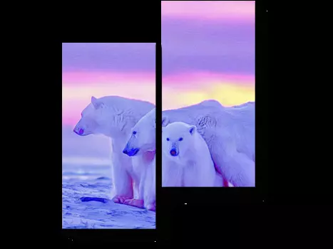 Модульная картина Picsis