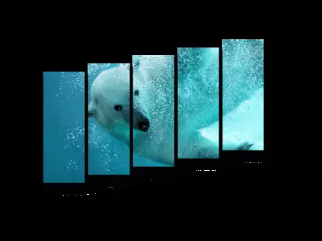 Модульная картина Picsis