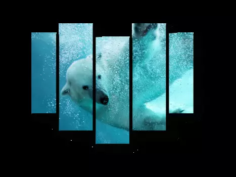 Модульная картина Picsis