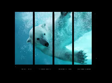 Модульная картина Picsis