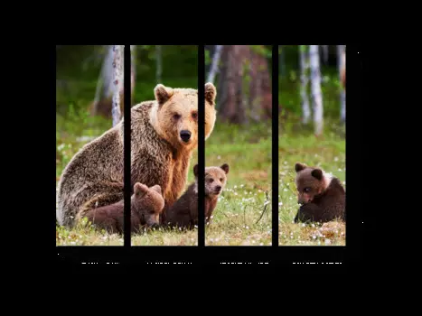 Модульная картина Picsis