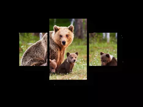 Модульная картина Picsis