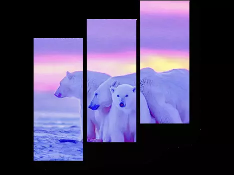 Модульная картина Picsis