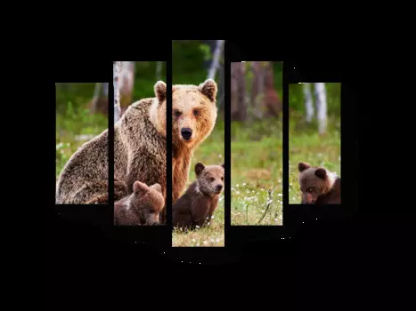 Модульная картина Picsis