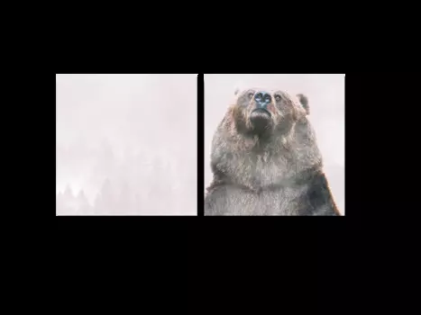 Модульная картина Picsis