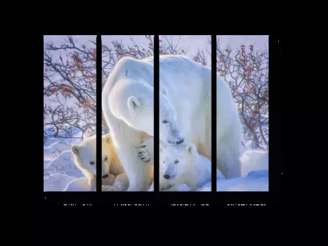 Модульная картина Picsis