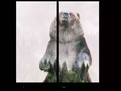 Модульная картина Picsis