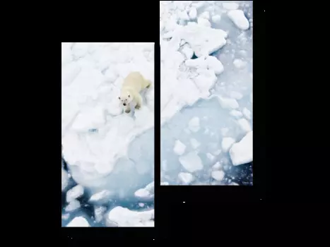 Модульная картина Picsis