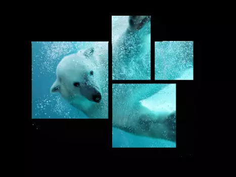 Модульная картина Picsis