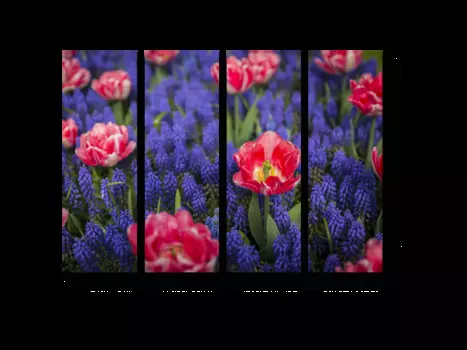 Модульная картина Picsis