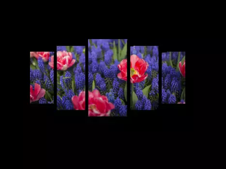 Модульная картина Picsis