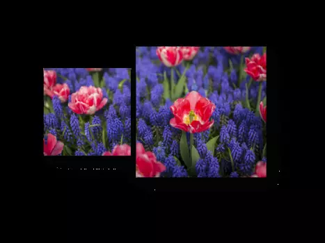 Модульная картина Picsis