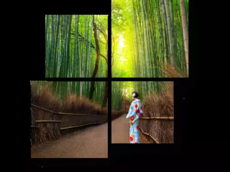 Модульная картина Picsis