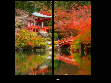 Модульная картина Picsis