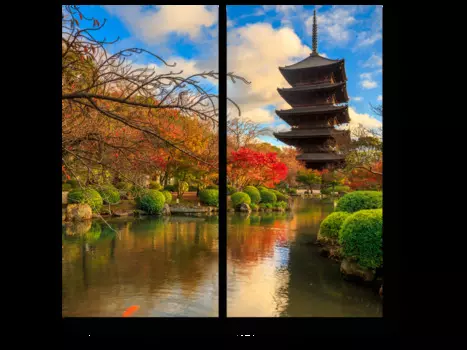 Модульная картина Picsis