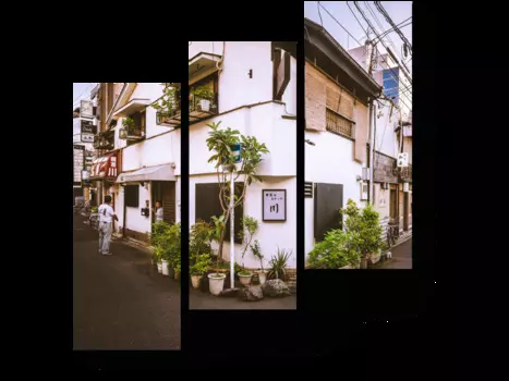 Модульная картина Picsis