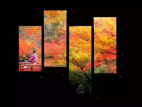 Модульная картина Picsis
