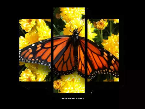 Модульная картина Picsis