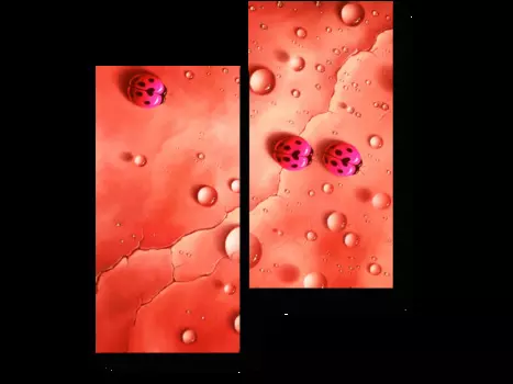 Модульная картина Picsis