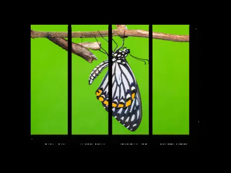 Модульная картина Picsis