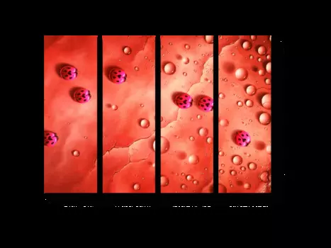 Модульная картина Picsis