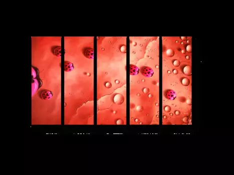 Модульная картина Picsis