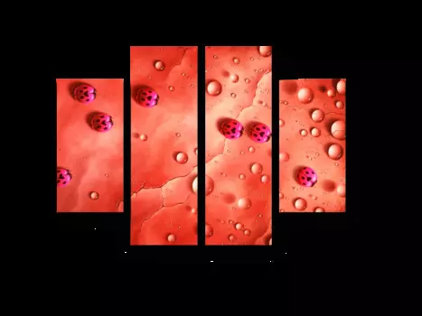 Модульная картина Picsis