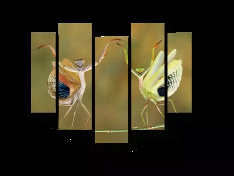 Модульная картина Picsis