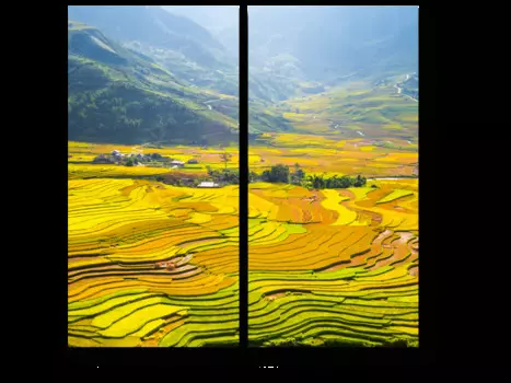 Модульная картина Picsis