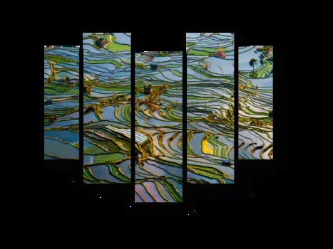 Модульная картина Picsis