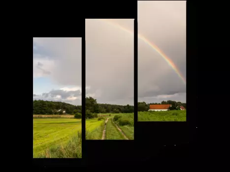 Модульная картина Picsis