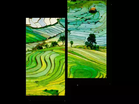 Модульная картина Picsis